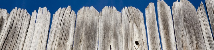 Fencing & Trellis